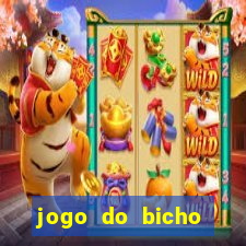 jogo do bicho crash bingo